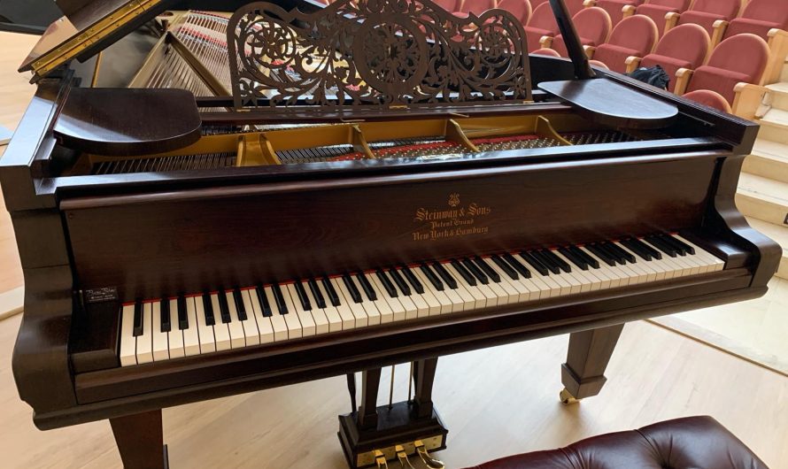 GRAN COCIERTO DE LA PIANISTA MIRIAM GOMEZ MORAN CON EL PIANO STEINWAY CONCERT-GRAND