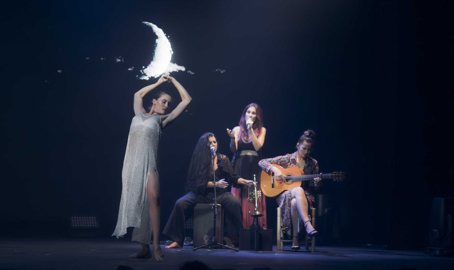 MECANEXPERIENCE; EL ESPECTACULO MUSICAL QUE RINDE EL MAYOR HOMENAJE A MECANO