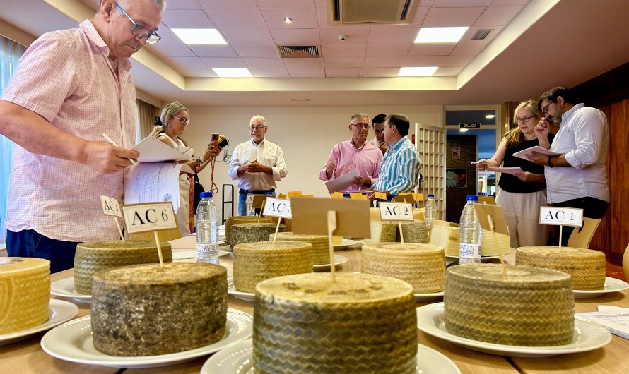 LA ALQUIMIA DEL QUESO MANCHEGO.