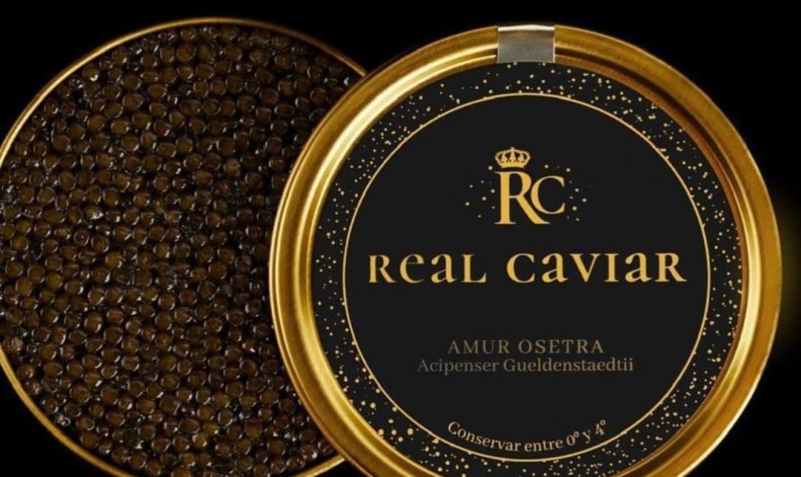 REAL CAVIAR: LUJO, TRADICIÓN Y ELEGANCIA DESDE EL ORIGEN HASTA TU MESA