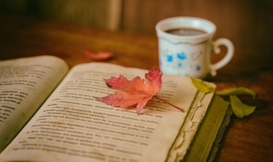 HISTORIA DE LA LITERATURA HISPANOAMERICANA. BREVISIMAS PINCELADAS SOBRE SUS ORIGENES